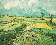 Vincent Van Gogh Wheatfield at Auvers under Clouded Sky painting